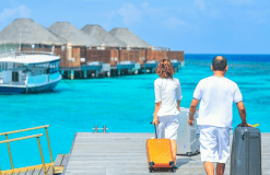 travelfinder