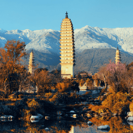 travelfinder